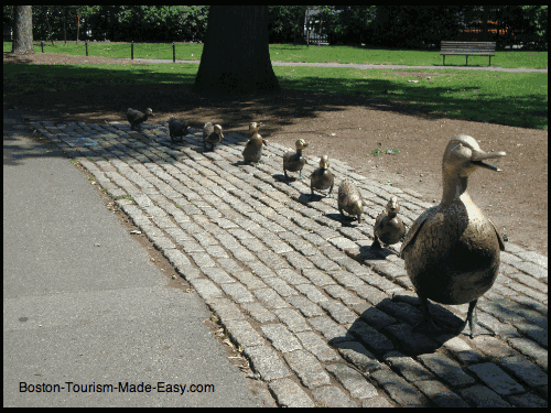 stone sculpture of ducks on the street of boston