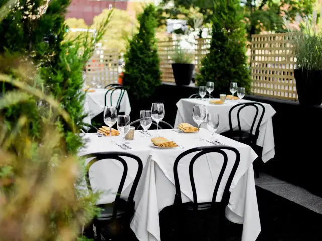 mistral's romantic outdoor garden