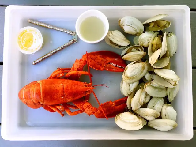 lobster with clams on a white plate