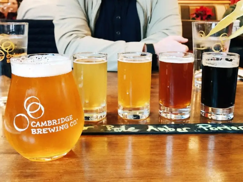 Mugs of beer in Cambrige Brewing Company, Boston